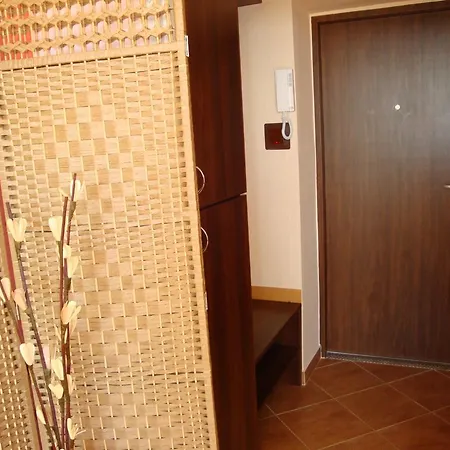 Apartament Center 1 بوزنان