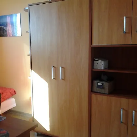 Apartament Center 1 * بوزنان